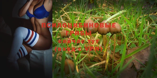 jwh Зеленодольск
