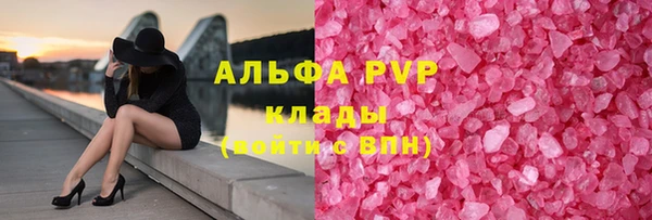СК Долгопрудный