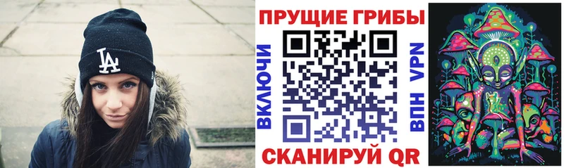 Псилоцибиновые грибы Psilocybe  где найти наркотики  Сердобск 