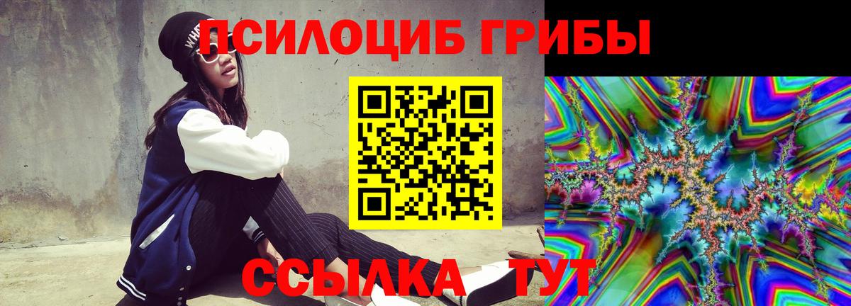 Галлюциногенные грибы Psilocybine cubensis Сердобск