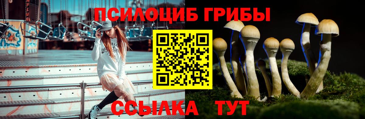 Галлюциногенные грибы Magic Shrooms  Вход с VPN  Псилоцибиновые грибы ЛСД  Сердобск 